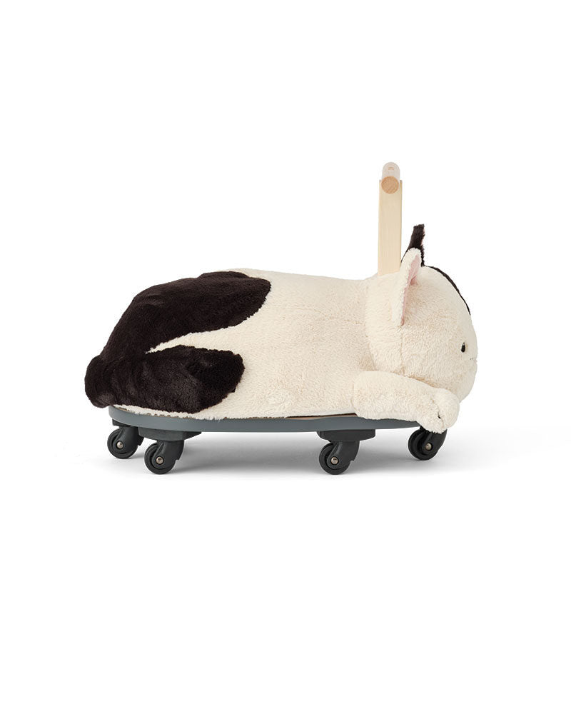 Ride along Sture the cat