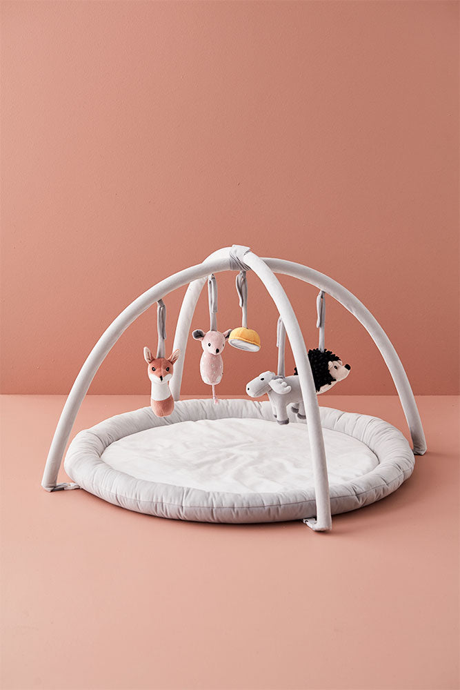 Baby gym