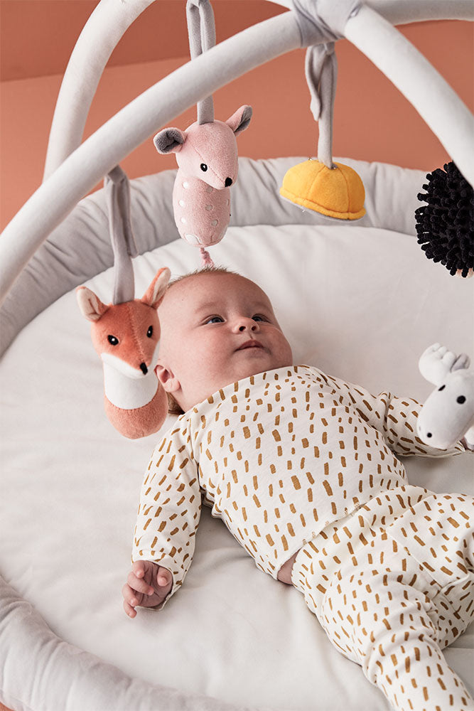 Baby gym
