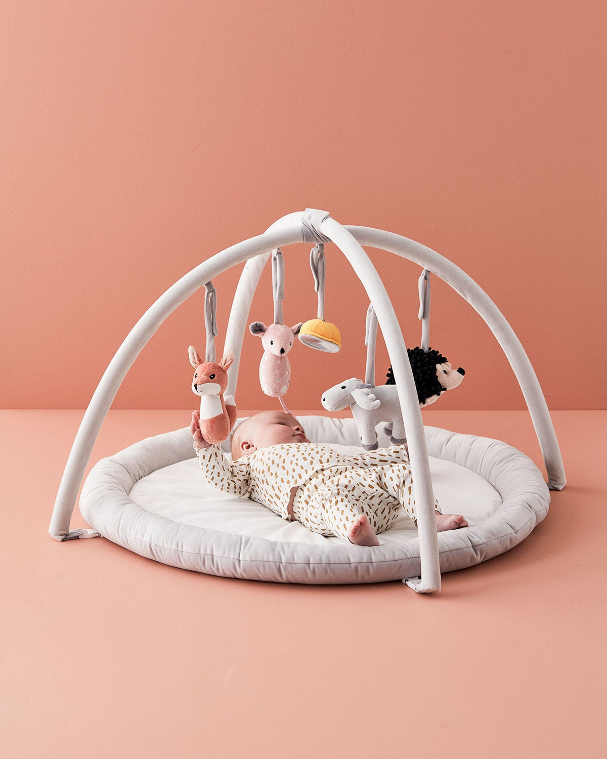 Baby gym
