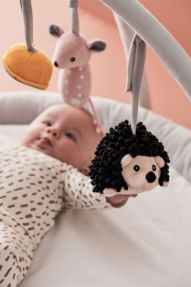 Baby gym