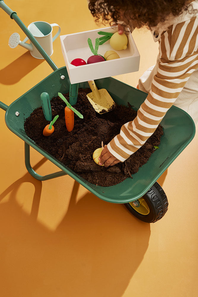 Mixed toy vegetable box