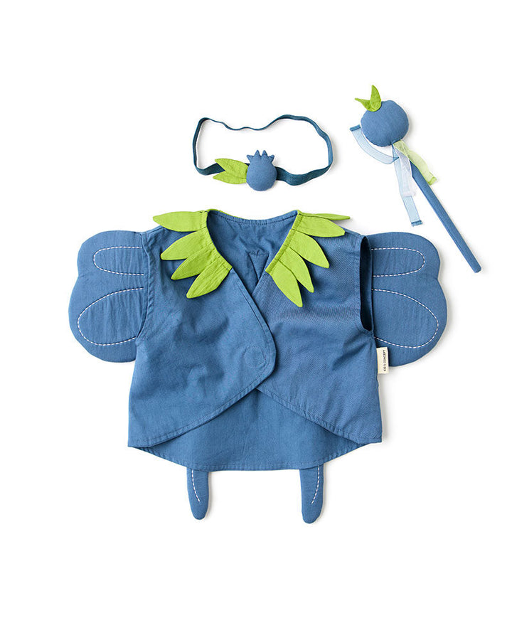 Blueberry Fairy DRESS-UP