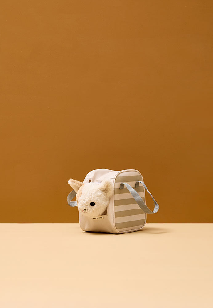 Cat and carrier bag