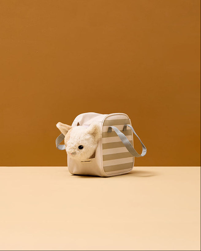 Cat and carrier bag
