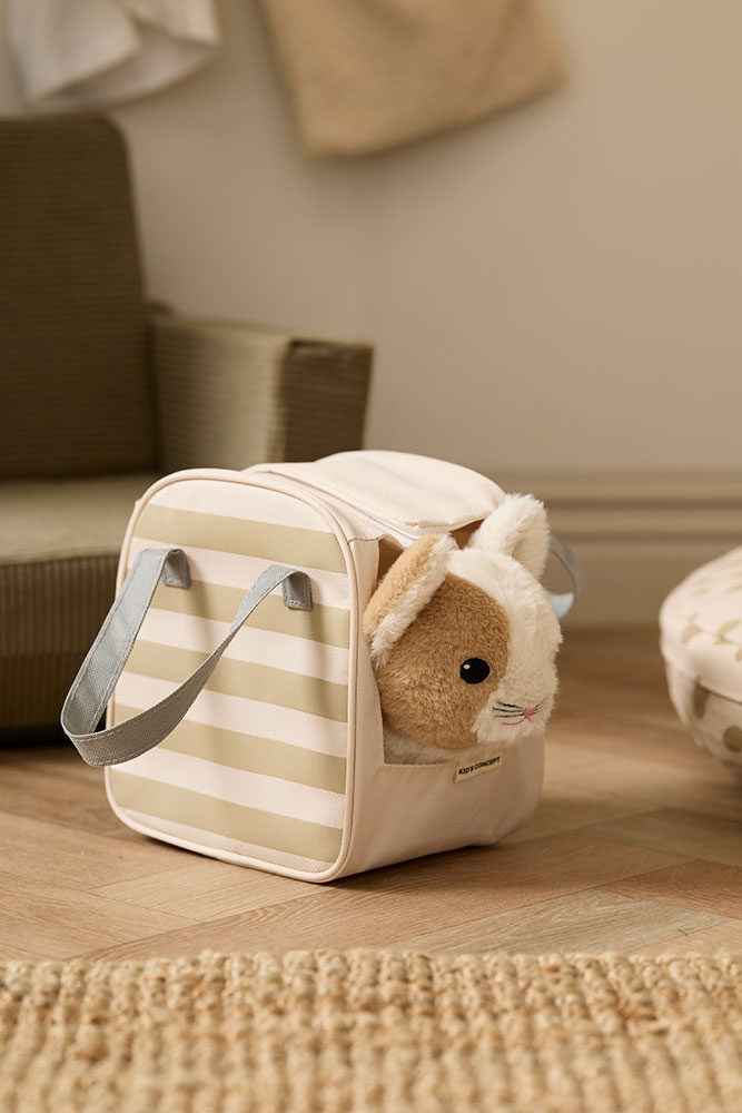 Cat and carrier bag