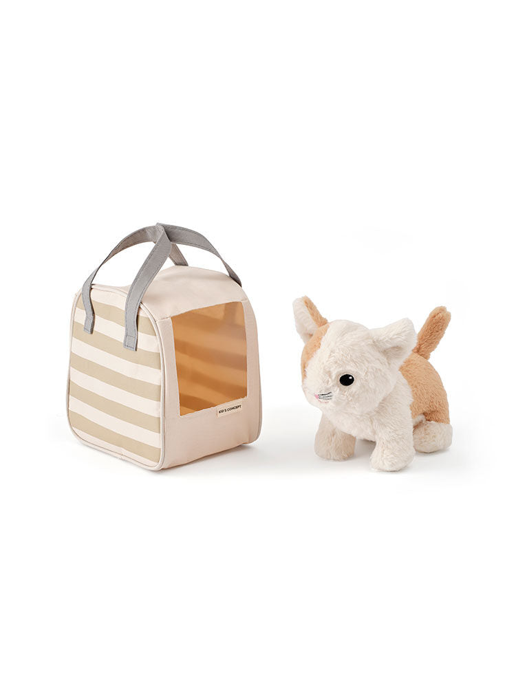 Cat and carrier bag
