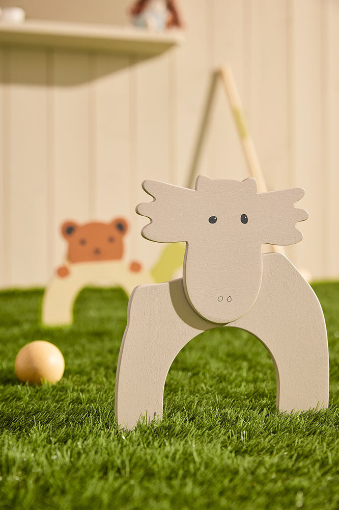 Crocquet set