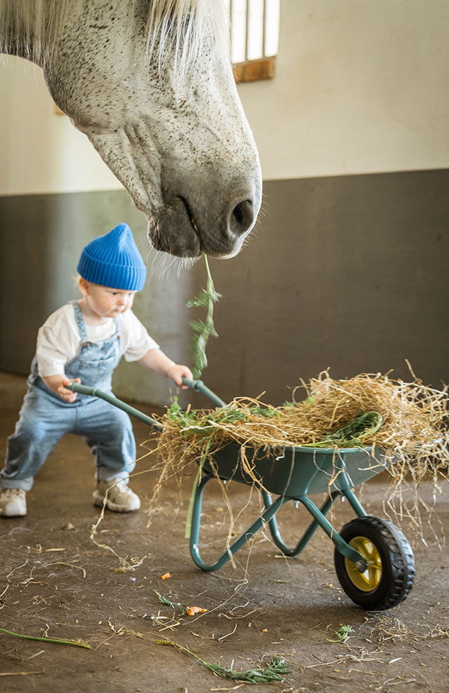 Wheelbarrow for kids