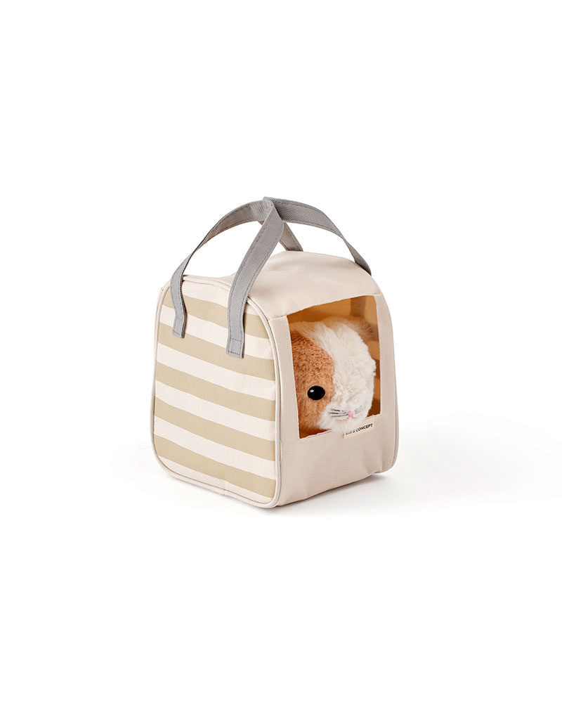 Cat and carrier bag