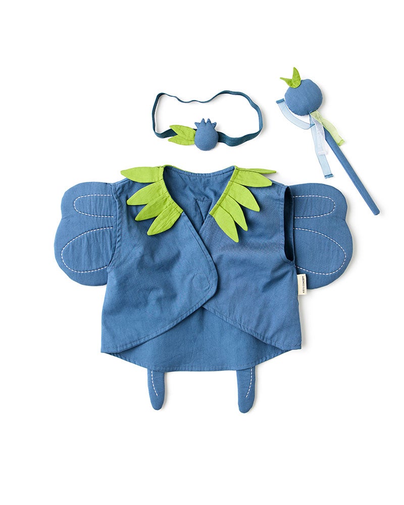 Blueberry Fairy DRESS-UP