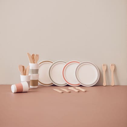 Dinnerware 4 play set