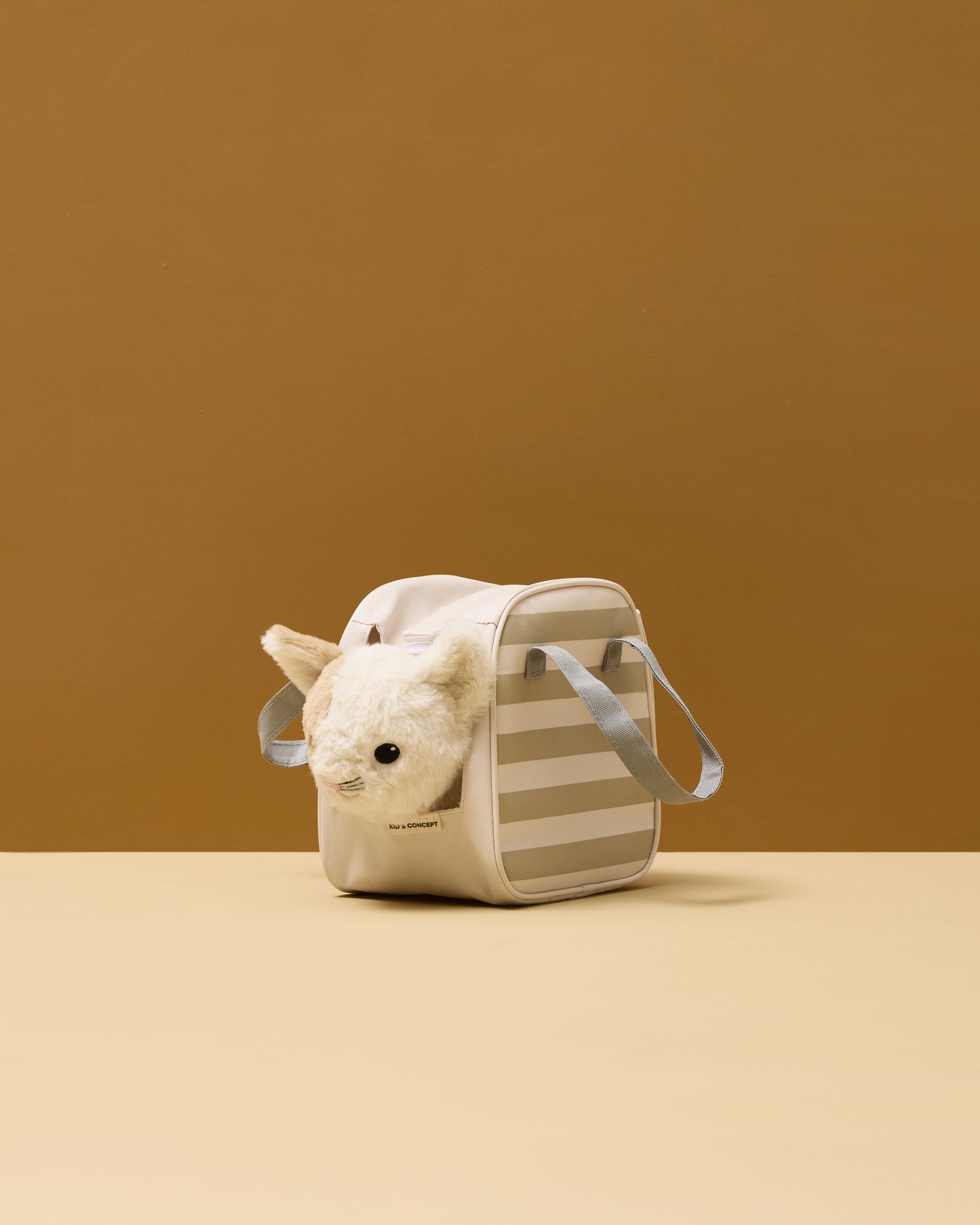 Chat et sac de transport