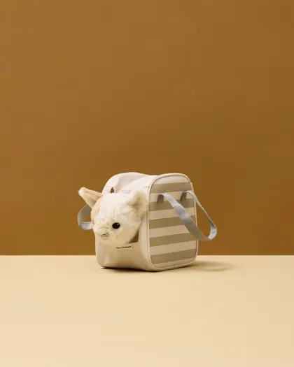 Chat et sac de transport