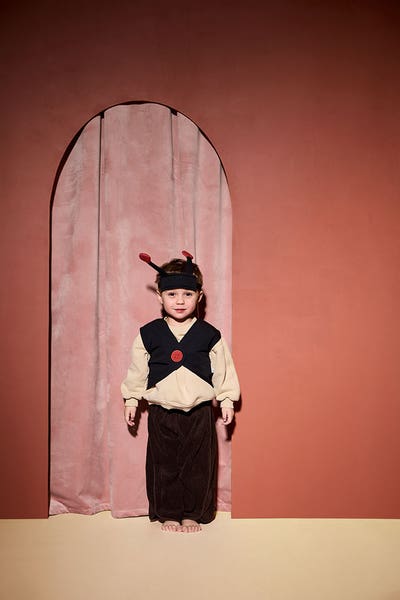 Ladybug DRESS-UP
