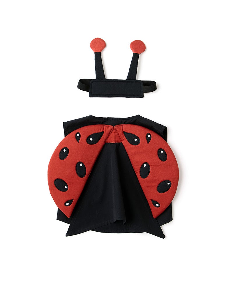 Ladybug  DRESS-UP